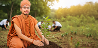 Tree Plantation