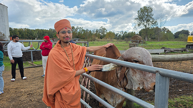 Gau Seva